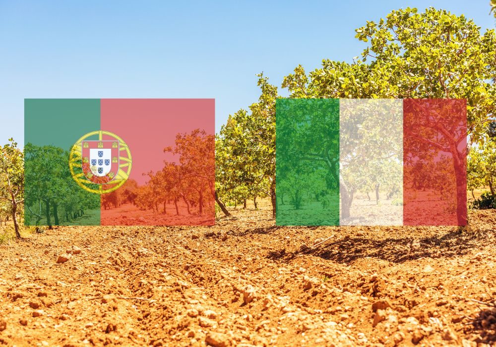 Cultivo en portugal e italia